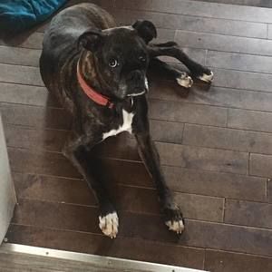 Meet your Posher, Zakary